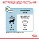 Сухой корм для собак ROYAL CANIN GIANT JUNIOR молодых гиганстких пород, 15 кг