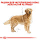 Сухой корм для собак ROYAL CANIN GOLDEN RETRIEVER ADULT породы Золотистый ретривер, 12 кг
