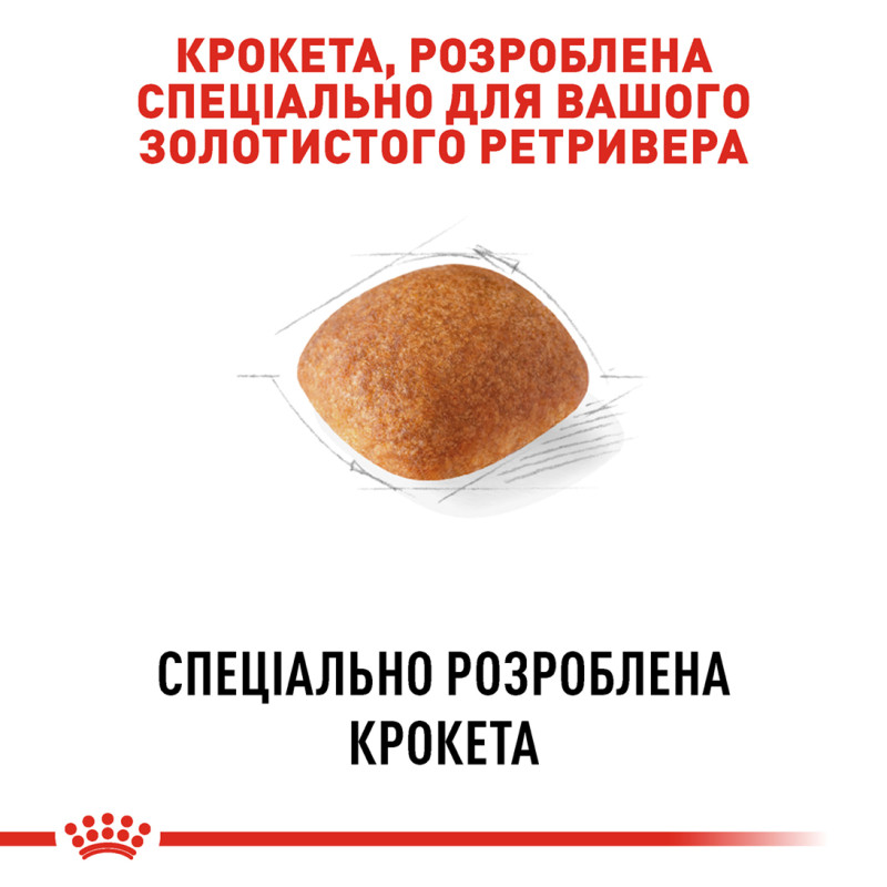 Сухой корм для собак ROYAL CANIN GOLDEN RETRIEVER ADULT породы Золотистый ретривер, 12 кг