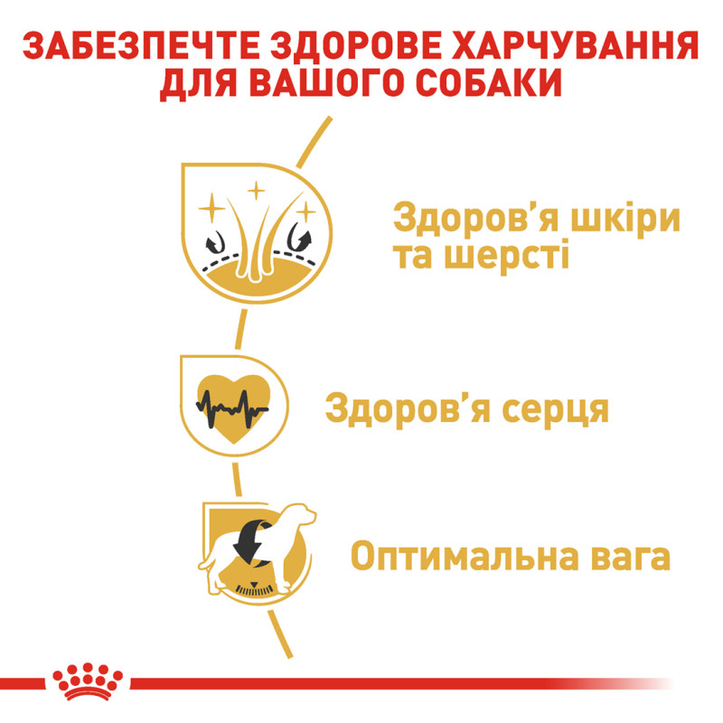 Сухой корм для собак ROYAL CANIN GOLDEN RETRIEVER ADULT породы Золотистый ретривер, 12 кг