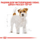 Сухой корм для собак ROYAL CANIN JACK RUSSEL ADULT породы Джек-Рассел-терьер, 7,5 кг