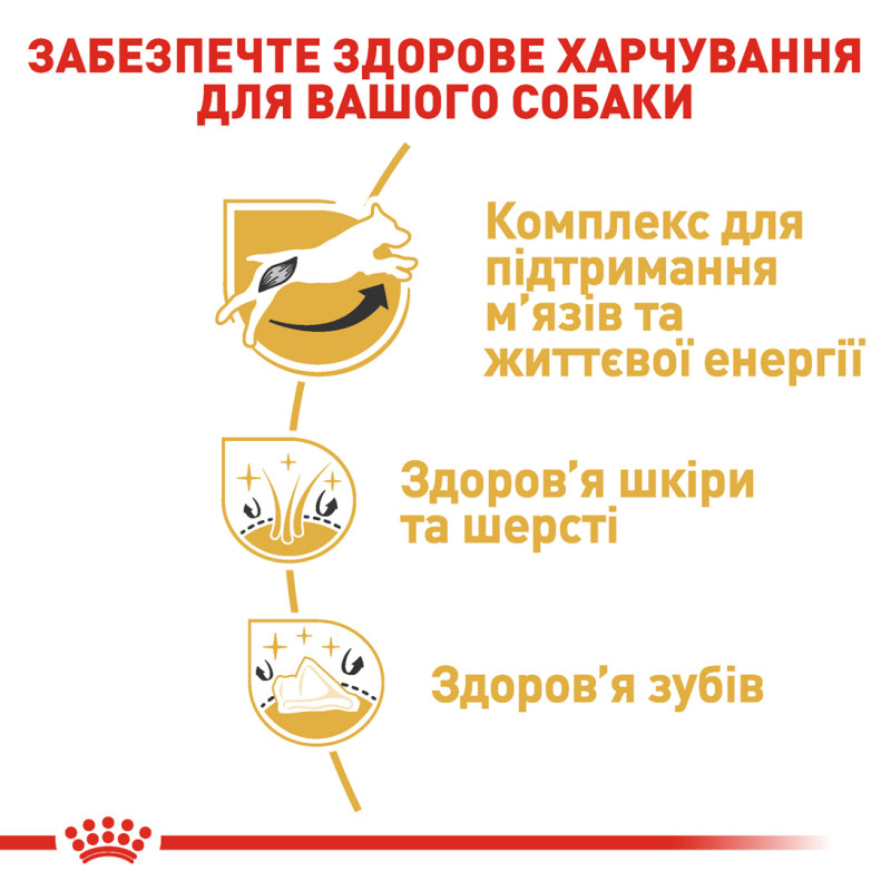 Сухой корм для собак ROYAL CANIN JACK RUSSEL ADULT породы Джек-Рассел-терьер, 7,5 кг