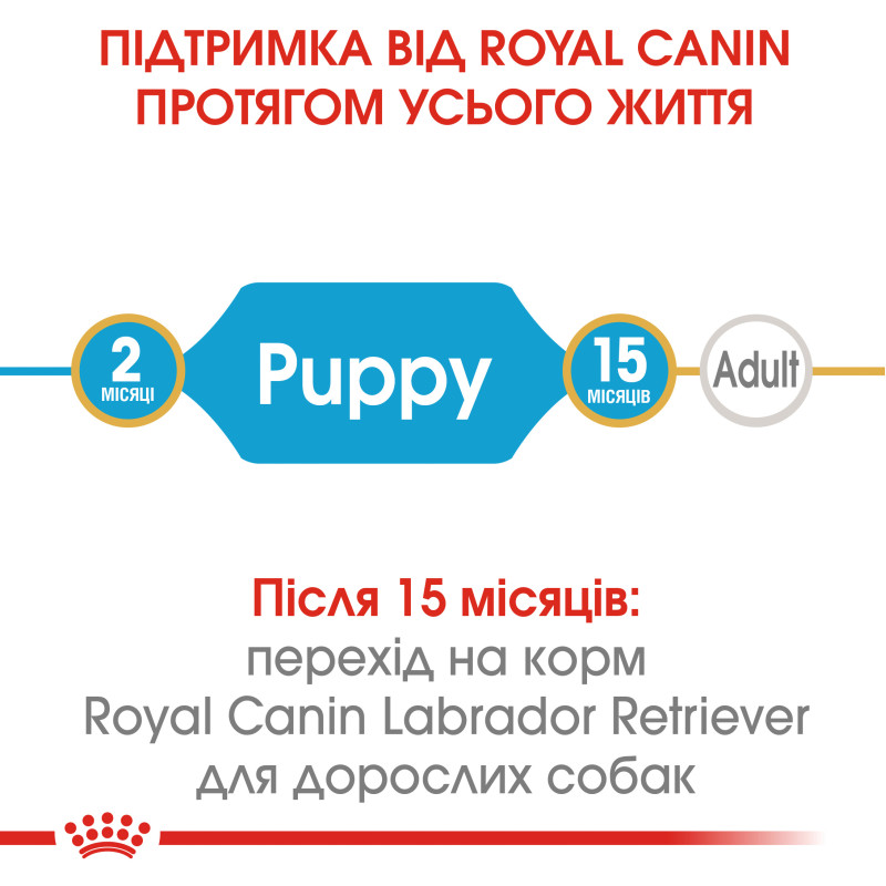 Сухой корм для щенков ROYAL CANIN LABRADOR PUPPY породы Лабрадор-ретривер, 12 кг