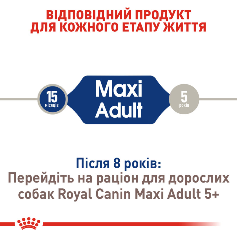 Сухой корм для собак ROYAL CANIN MAXI ADULT больших пород, 15 кг