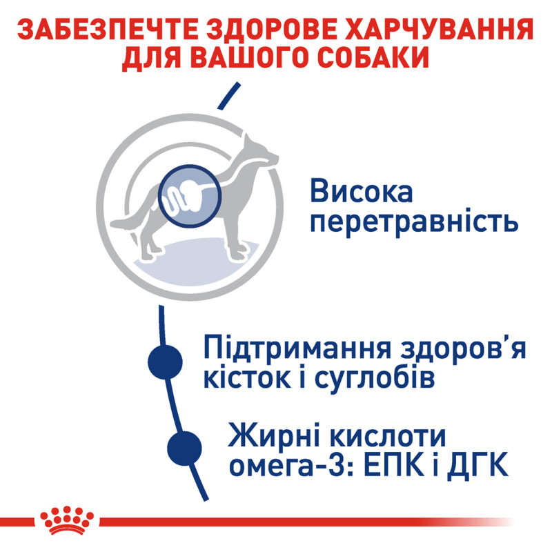 Сухой корм для собак ROYAL CANIN MAXI ADULT больших пород, 15 кг
