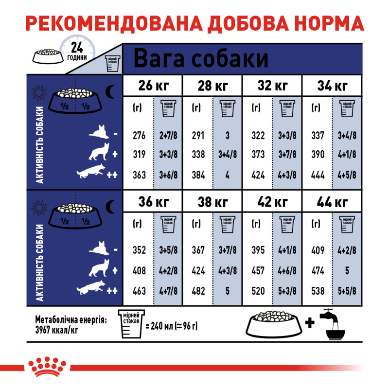 Сухой корм для собак ROYAL CANIN MAXI ADULT больших пород, 15 кг