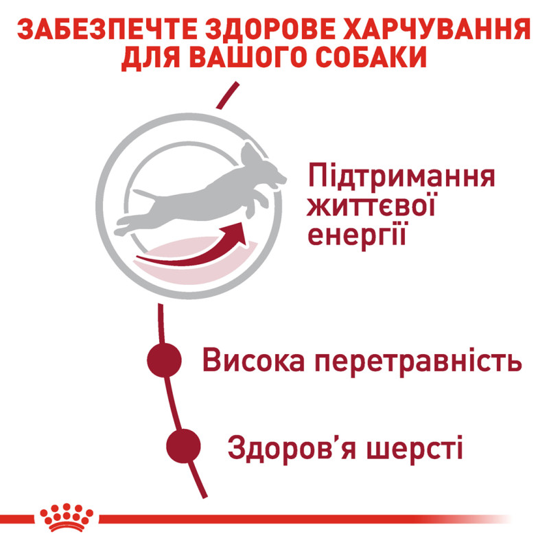 Сухой корм для собак ROYAL CANIN MEDIUM ADULT 7+ от 7 лет средних пород, 4 кг