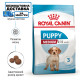 Сухой корм для щенков ROYAL CANIN MEDIUM PUPPY средних пород, 1 кг