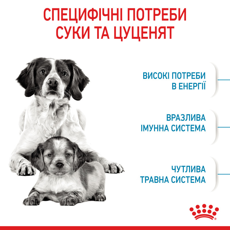 Сухой корм для щенков ROYAL CANIN MEDIUM STARTER новорожденных средних пород, 1 кг