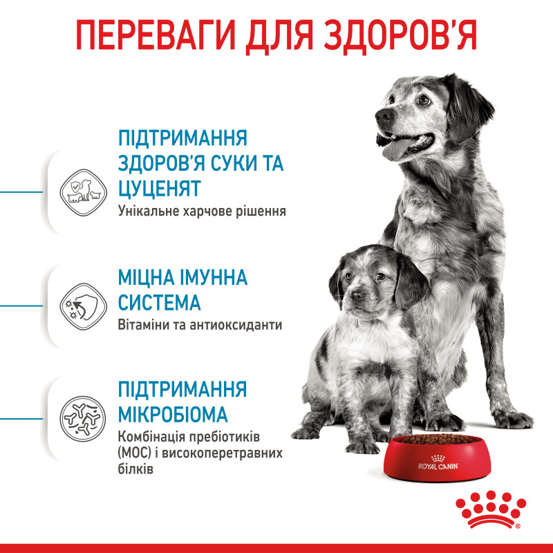 Сухой корм для щенков ROYAL CANIN MEDIUM STARTER новорожденных средних пород, 1 кг