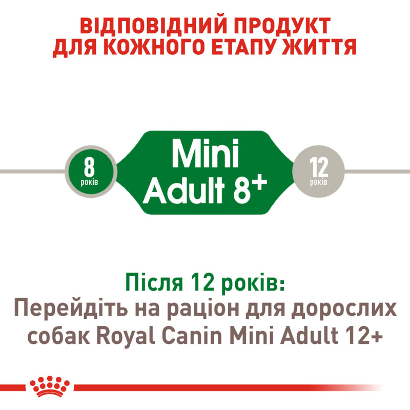 Сухой корм для собак ROYAL CANIN MINI ADULT 8+ от 8 лет малых пород, 800 г