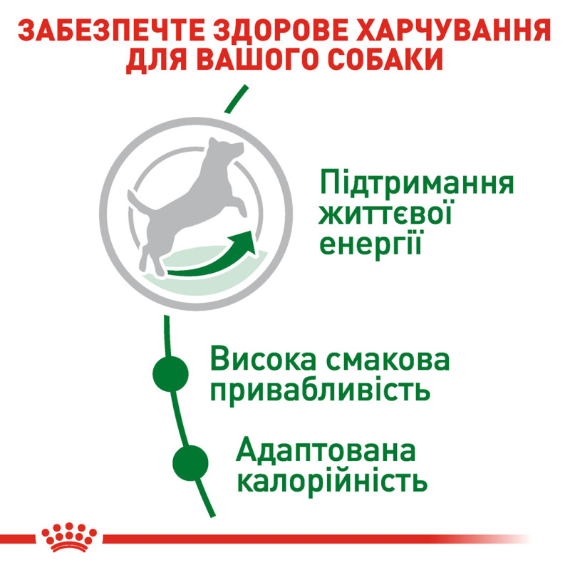 Сухой корм для собак ROYAL CANIN MINI ADULT 8+ от 8 лет малых пород, 800 г