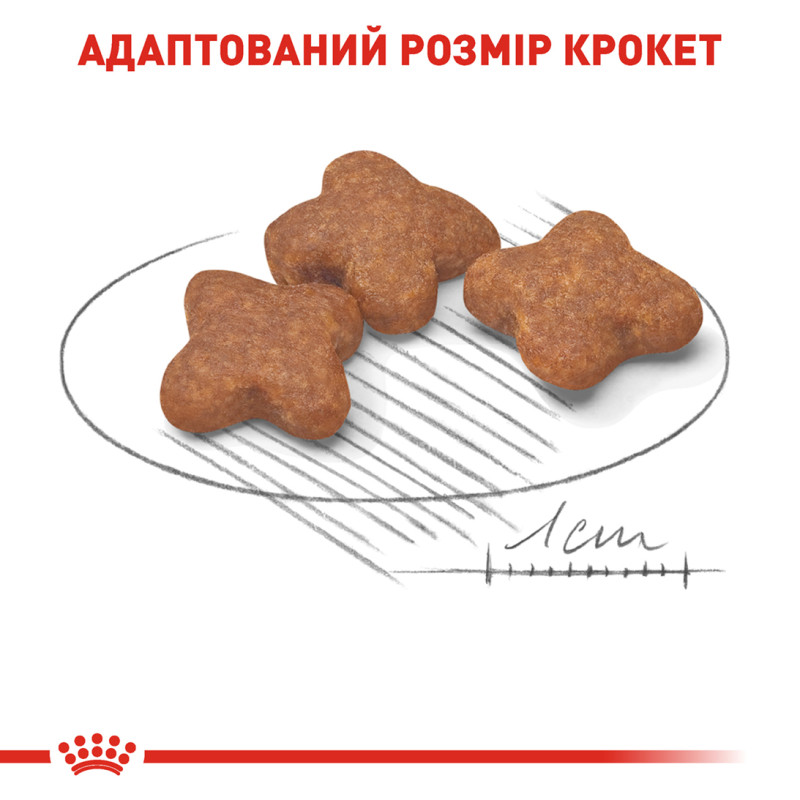 Сухой корм для собак ROYAL CANIN MINI ADULT 8+ от 8 лет малых пород, 800 г