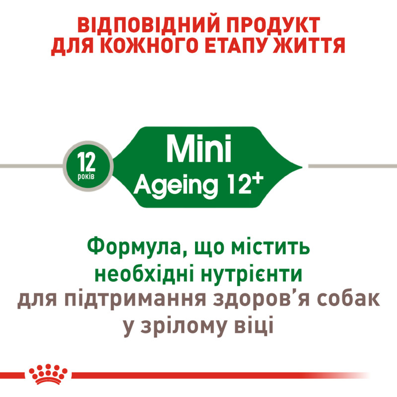 Сухой корм для собак ROYAL CANIN MINI AGEING 12+ от 12 лет малых пород, 800 г