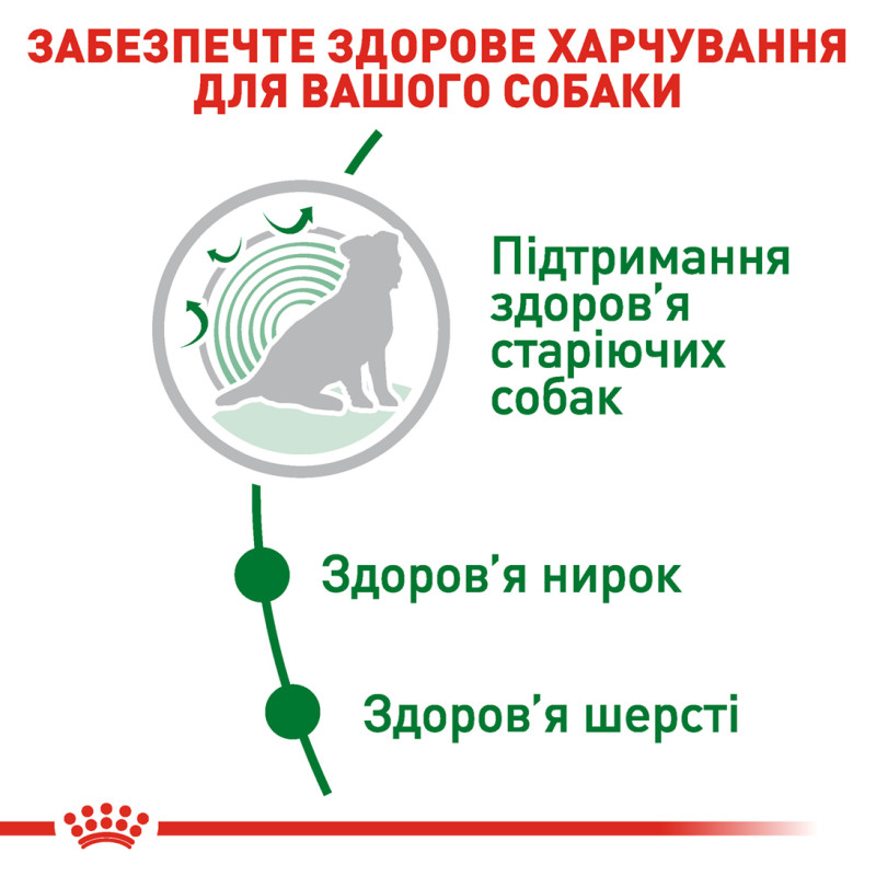 Сухой корм для собак ROYAL CANIN MINI AGEING 12+ от 12 лет малых пород, 800 г