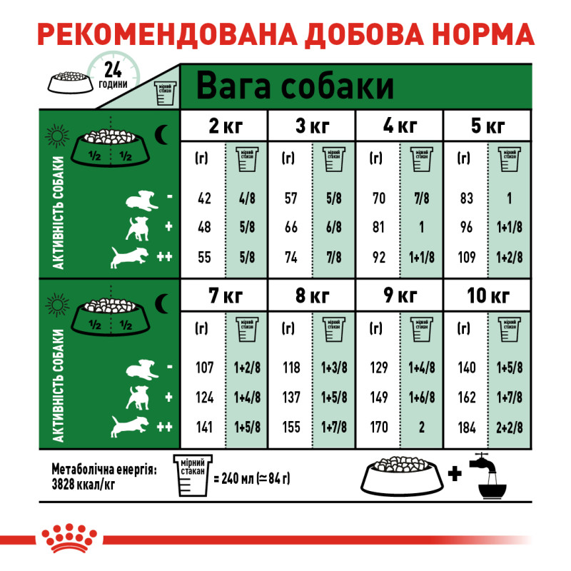 Сухой корм для собак ROYAL CANIN MINI AGEING 12+ от 12 лет малых пород, 800 г