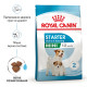 Сухой корм для щенков ROYAL CANIN MINI STARTER новорожденных малых пород, 8 кг