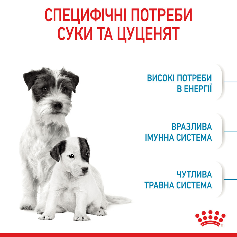 Сухой корм для щенков ROYAL CANIN MINI STARTER новорожденных малых пород, 8 кг