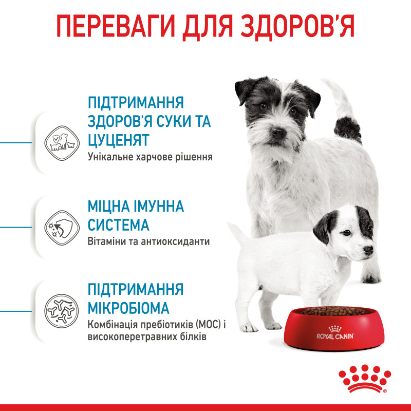 Сухой корм для щенков ROYAL CANIN MINI STARTER новорожденных малых пород, 8 кг