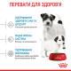 Сухой корм для щенков ROYAL CANIN MINI STARTER новорожденных малых пород, 8 кг