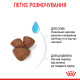 Сухой корм для щенков ROYAL CANIN MINI STARTER новорожденных малых пород, 8 кг