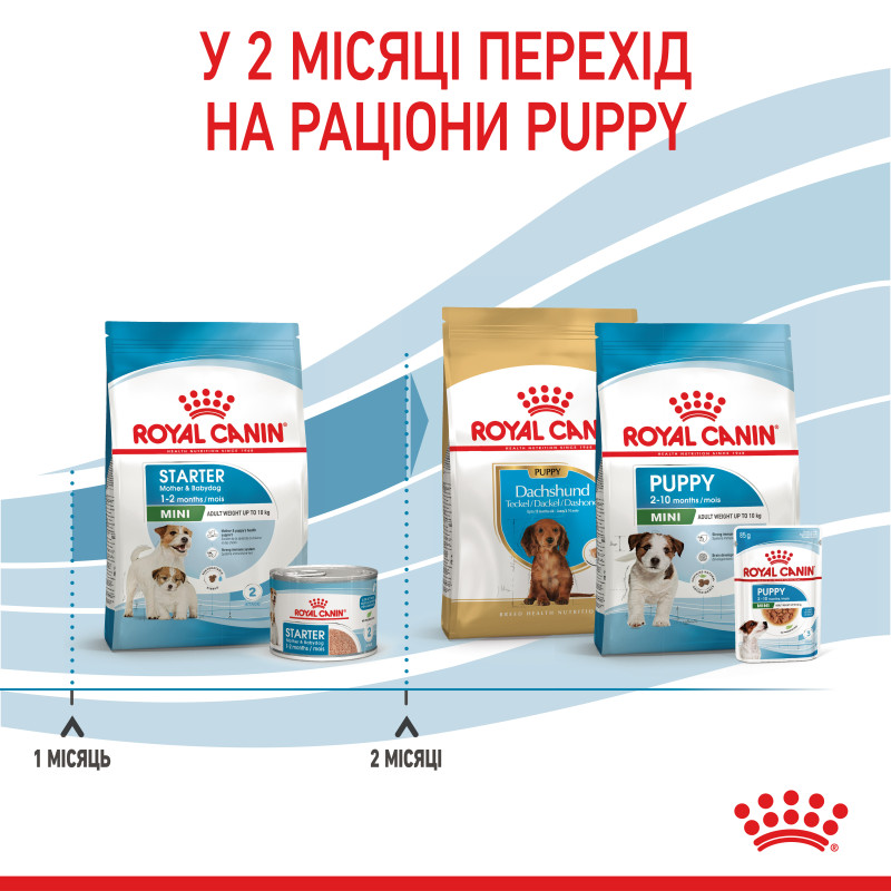 Сухой корм для щенков ROYAL CANIN MINI STARTER новорожденных малых пород, 8 кг