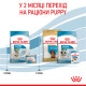 Сухой корм для щенков ROYAL CANIN MINI STARTER новорожденных малых пород, 8 кг