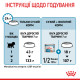 Сухой корм для щенков ROYAL CANIN MINI STARTER новорожденных малых пород, 8 кг