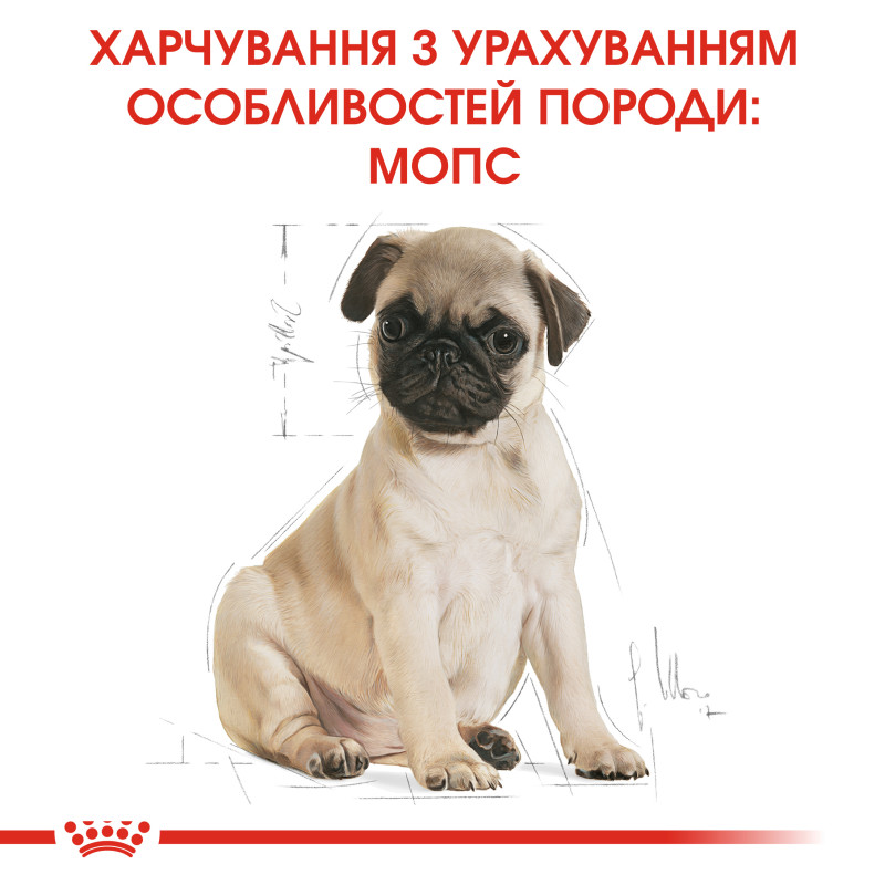 Сухой корм для щенков ROYAL CANIN PUG PUPPY породы Мопс, 1,5 кг
