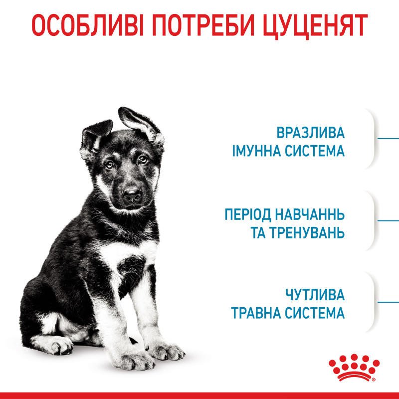 Сухой корм для щенков ROYAL CANIN MAXI PUPPY  больших пород при повышенной непереносимости пищи, 4 кг