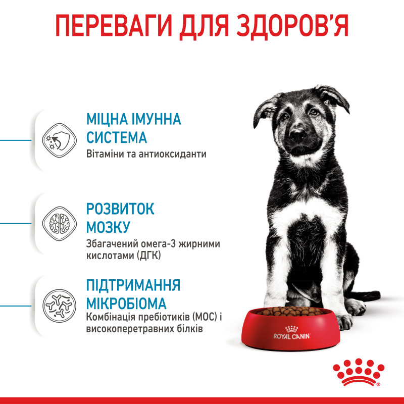 Сухой корм для щенков ROYAL CANIN MAXI PUPPY  больших пород при повышенной непереносимости пищи, 4 кг