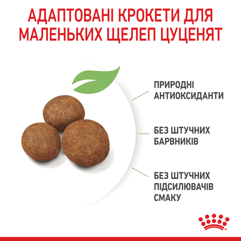 Сухой корм для щенков ROYAL CANIN MAXI PUPPY  больших пород при повышенной непереносимости пищи, 4 кг