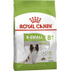 Сухой корм для собак ROYAL CANIN XSMALL ADULT 8+ от 8 лет миниатюрных пород, 3 кг
