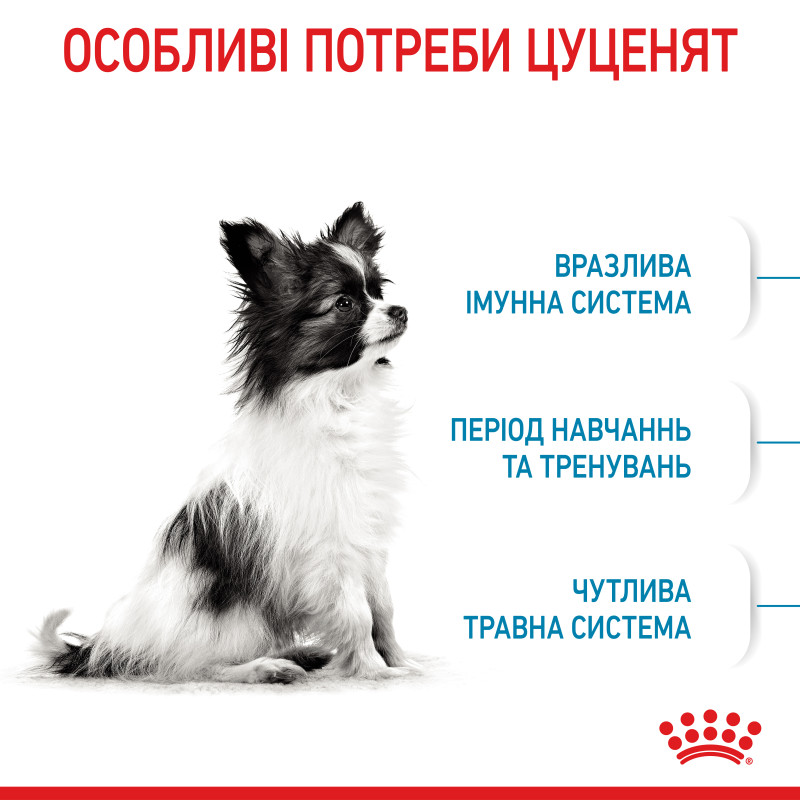 Сухий корм для щенят ROYAL CANIN XSMALL PUPPY мініатюрних порід, 3 кг