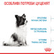 Сухий корм для щенят ROYAL CANIN XSMALL PUPPY мініатюрних порід, 3 кг