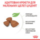 Сухий корм для щенят ROYAL CANIN XSMALL PUPPY мініатюрних порід, 3 кг