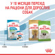 Сухий корм для щенят ROYAL CANIN XSMALL PUPPY мініатюрних порід, 3 кг
