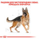 Сухий корм для собак ROYAL CANIN GERMAN SHEPHERD ADULT породи Німецька вівчарка, 11 кг