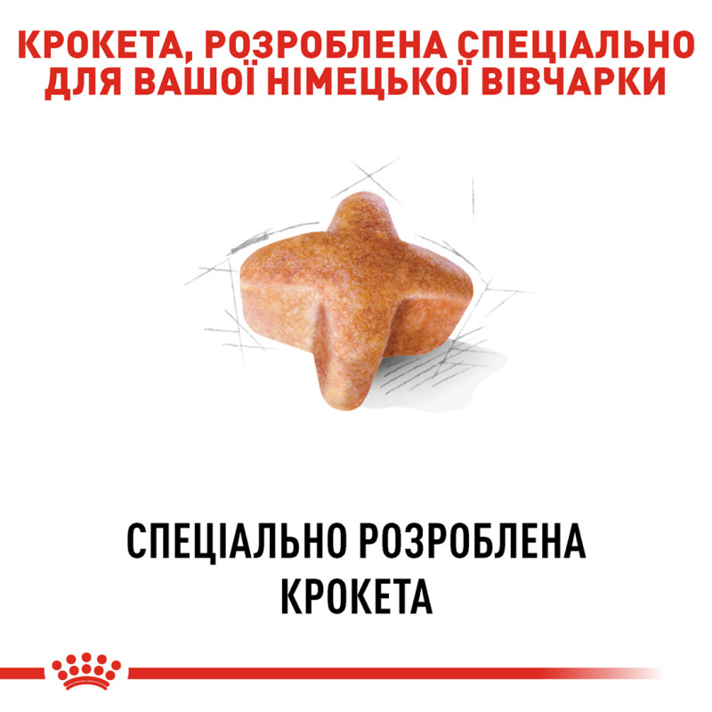 Сухий корм для собак ROYAL CANIN GERMAN SHEPHERD ADULT породи Німецька вівчарка, 11 кг