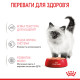 Влажный корм (паштет) для котят ROYAL CANIN KITTEN , 85 г