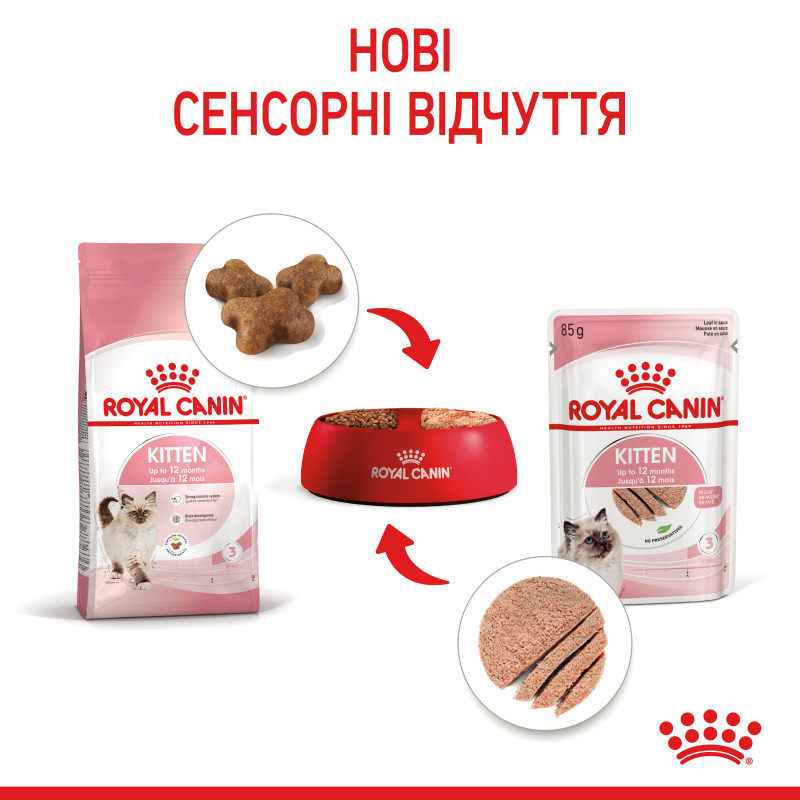 Влажный корм (паштет) для котят ROYAL CANIN KITTEN , 85 г