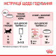 Влажный корм (паштет) для котят ROYAL CANIN KITTEN , 85 г