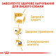 Влажный корм для собак ROYAL CANIN CHIHUAHUA ADULT породы Чихуахуа, 85 г