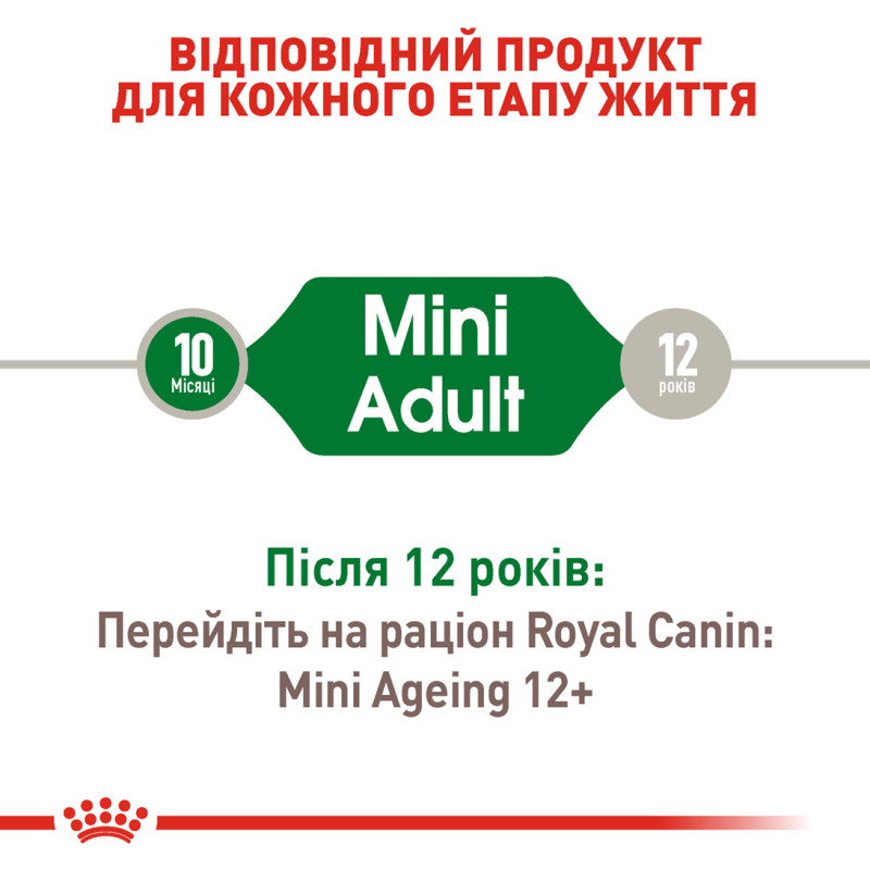 Влажный корм (в соусе) для собак ROYAL CANIN MINI ADULT малых пород, 85 г