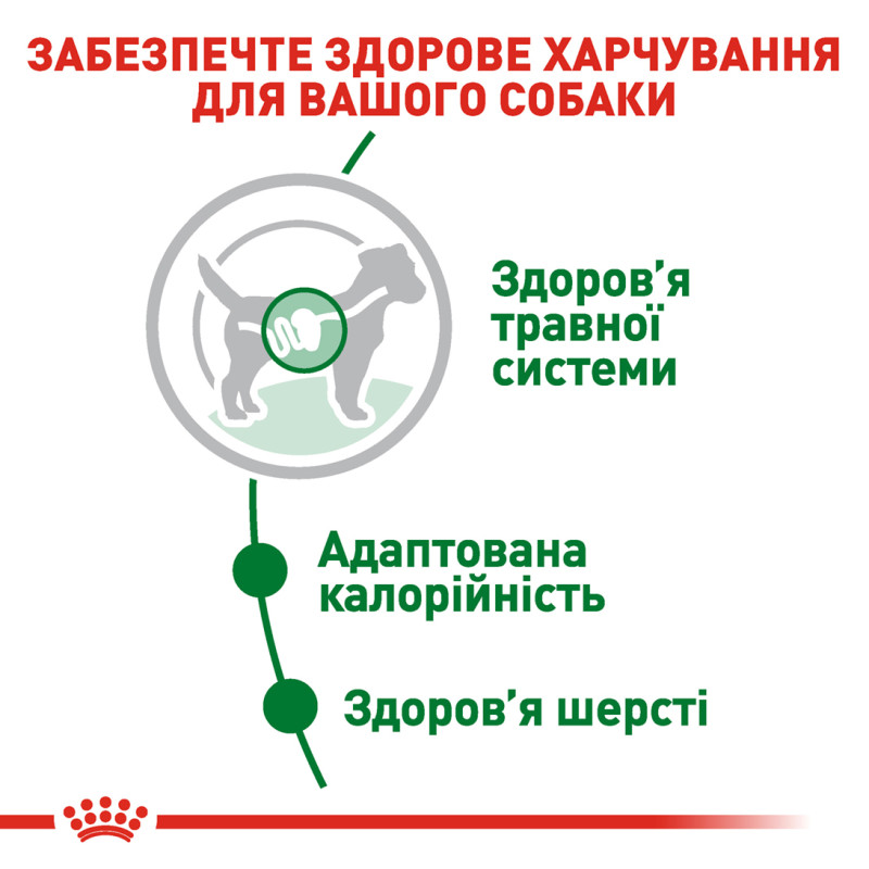 Влажный корм (в соусе) для собак ROYAL CANIN MINI ADULT малых пород, 85 г