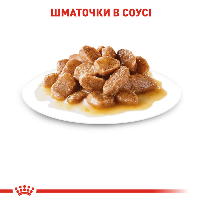 Влажный корм (в соусе) для собак ROYAL CANIN MINI ADULT малых пород, 85 г