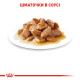 Влажный корм (в соусе) для собак ROYAL CANIN MINI ADULT малых пород, 85 г