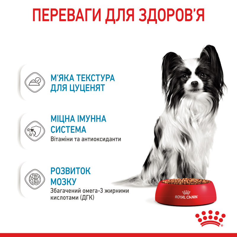 Влажный корм для щенков ROYAL CANIN XSMALL PUPPY миниатюрных пород, 85 г