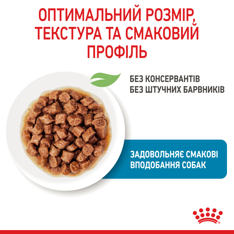 Влажный корм для щенков ROYAL CANIN XSMALL PUPPY миниатюрных пород, 85 г