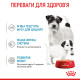 Влажный корм (мусс) для щенков и собак ROYAL CANIN STARTER MOUSSE  новорожденным и в период лактации/беременности, 195 г